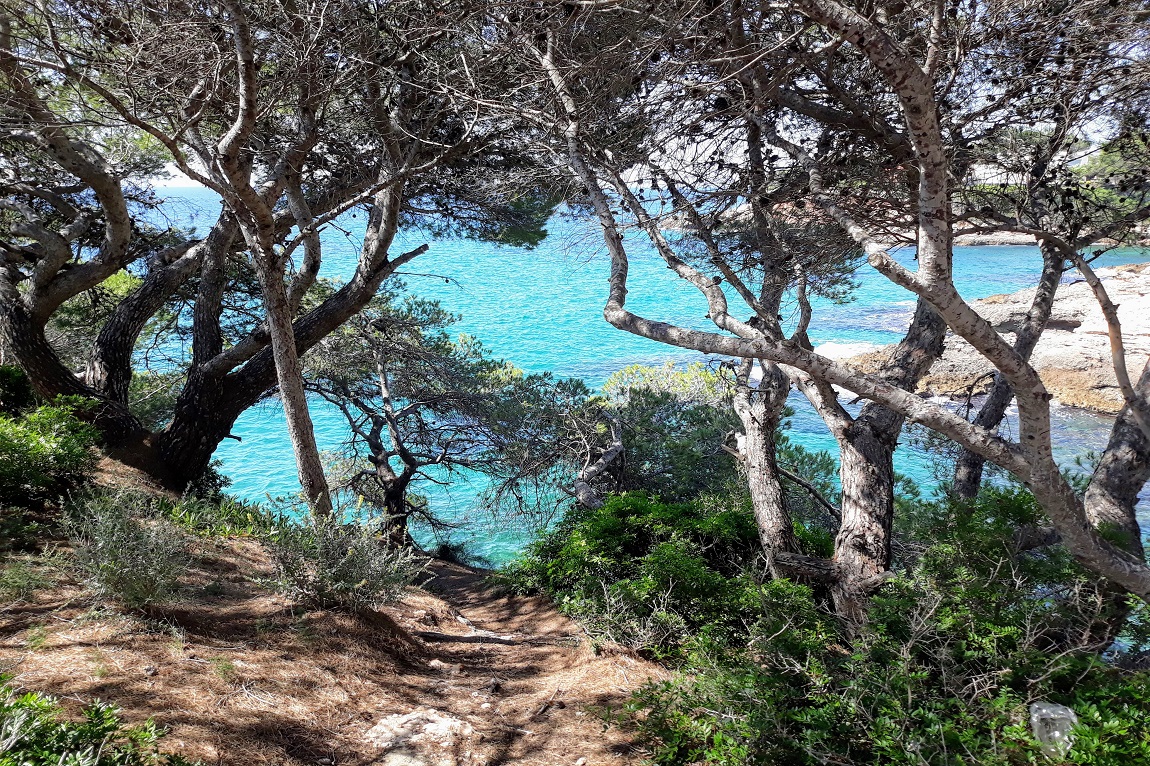 Calas-en-Ametlla-del-Mar-Tarragona