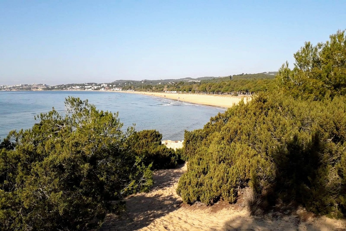 Platja-Llarga-Tarragona-Espana