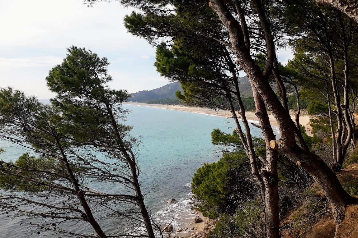 Platja-del-Torn-LHospitalet-del-lInfant